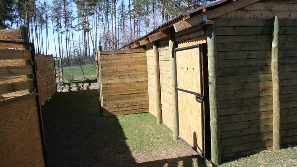fencing systems workmanship deer farms comprehensive service fencing large areas Poland